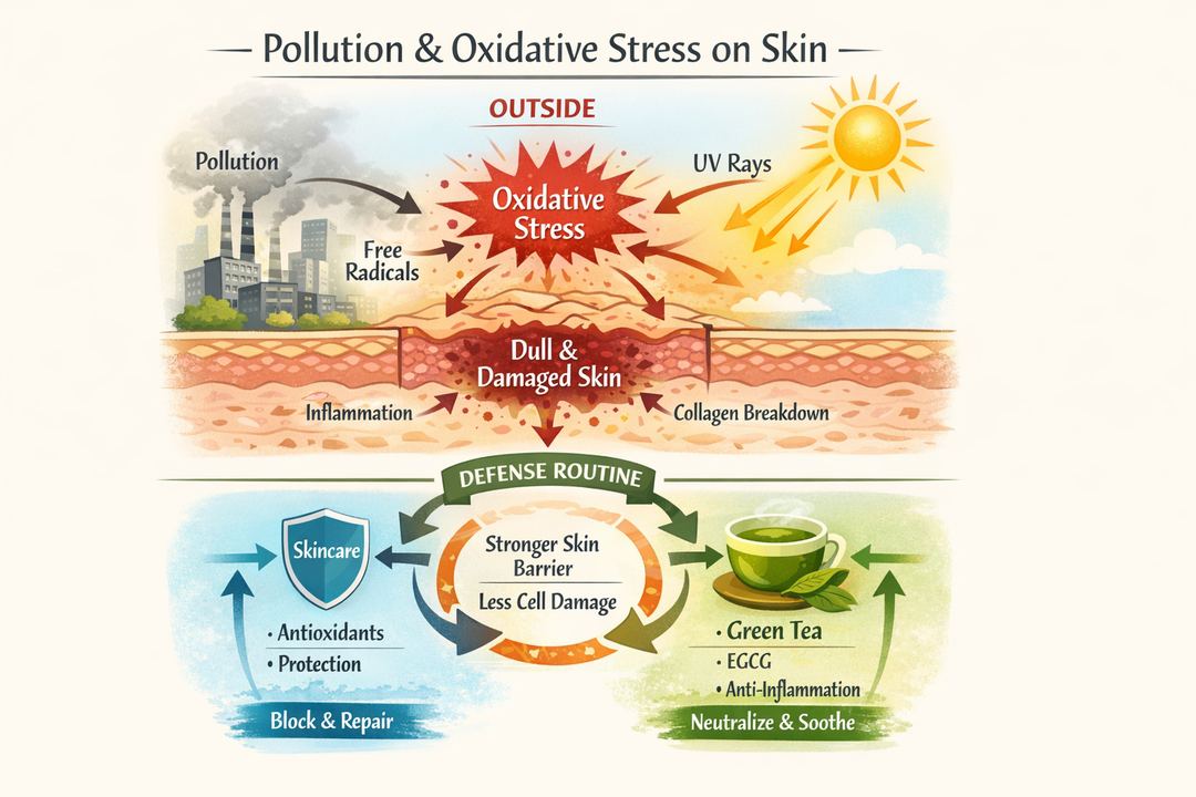 Infographic diagram showing pollution and UV causing oxidative stress on skin and how skincare and green tea help defend it.