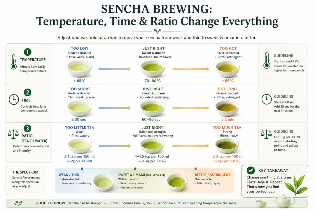 Infographic showing how water temperature, steep time, and tea quantity affect sencha bitterness, strength, and umami.